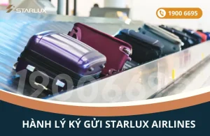 Quy định hành lý ký gửi STARLUX Airlines