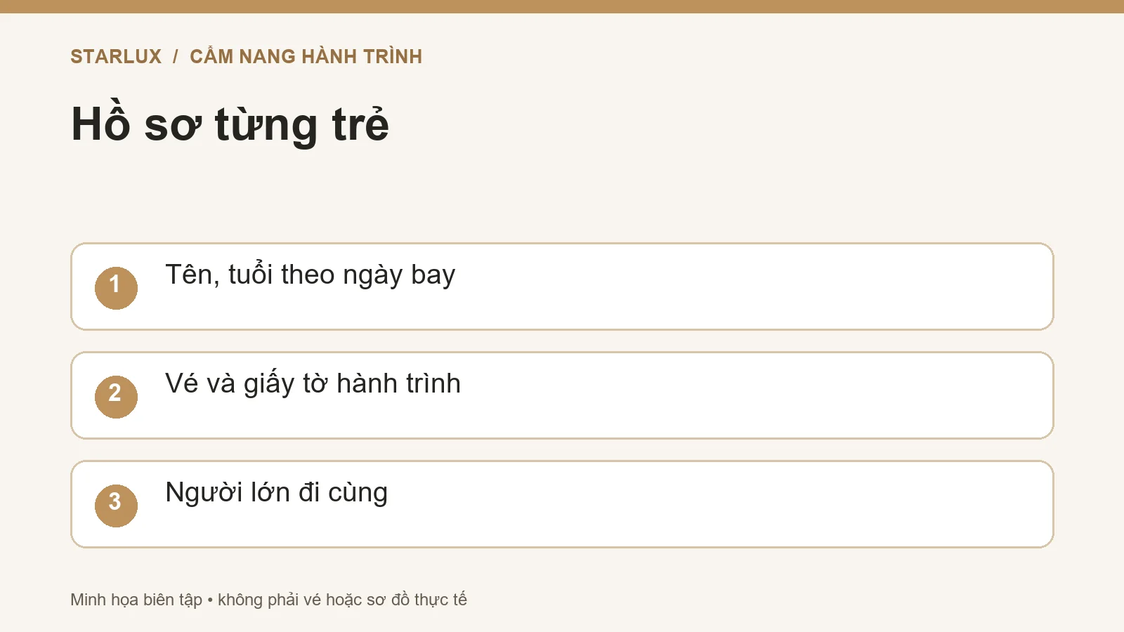 Hồ sơ từng trẻ: Tên, tuổi theo ngày bay; Vé và giấy tờ hành trình; Người lớn đi cùng