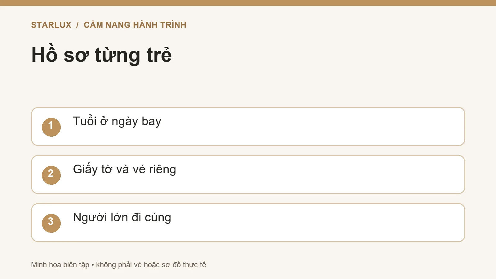 Hồ sơ từng trẻ: Tuổi ở ngày bay; Giấy tờ và vé riêng; Người lớn đi cùng