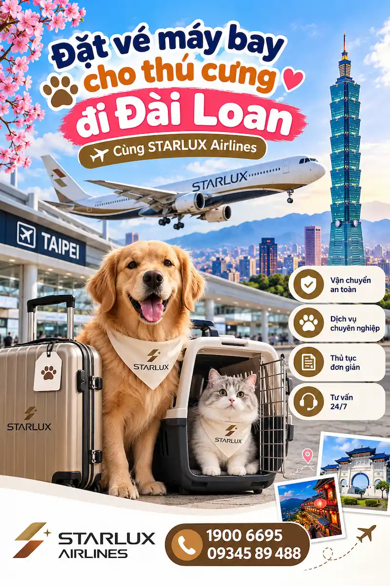 Mua vé máy bay cho thú cưng đi Đài Loan STARLUX Airlines